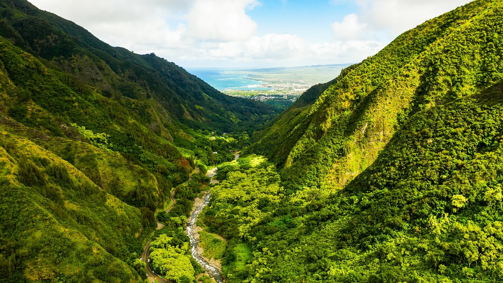 Widok z hotelu Aloha Hawaii!