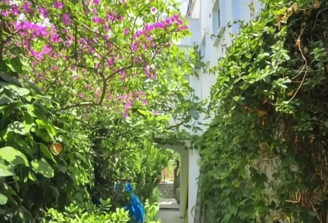 Obiekt hotelu Apartments Jelena 27