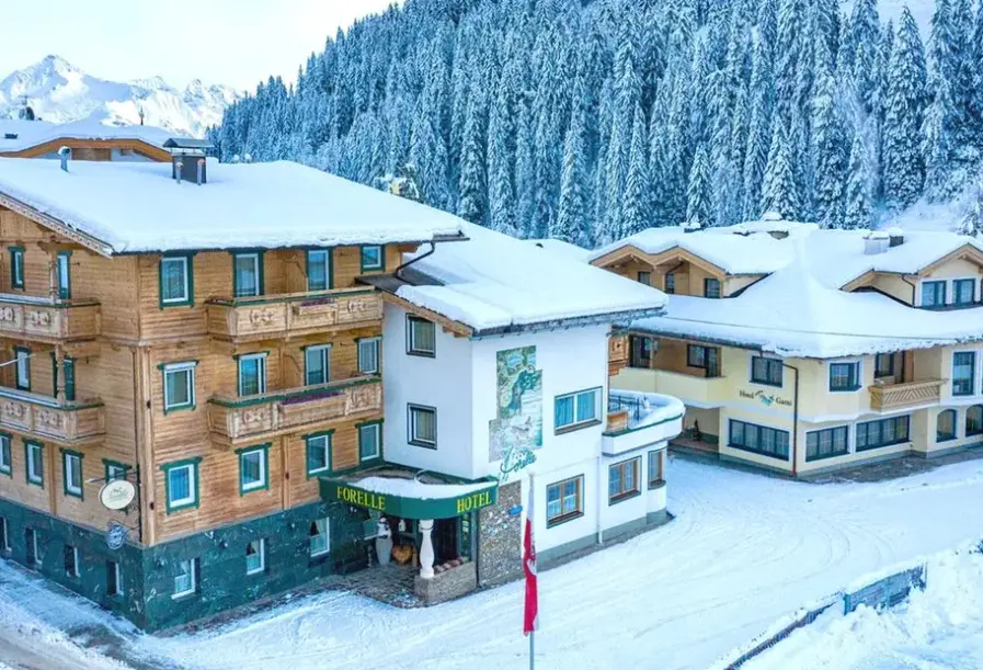 Hotel Forelle w Austria (Saksonia) - oferta last minute