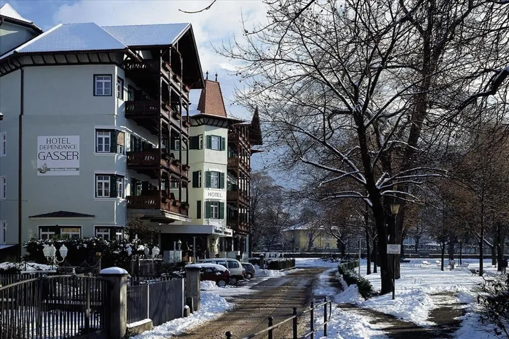 Hotel Gruner Baum (Brixen)