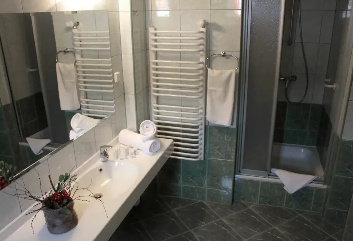 Łazienka w pokoju hotelu Hotel Chojnik