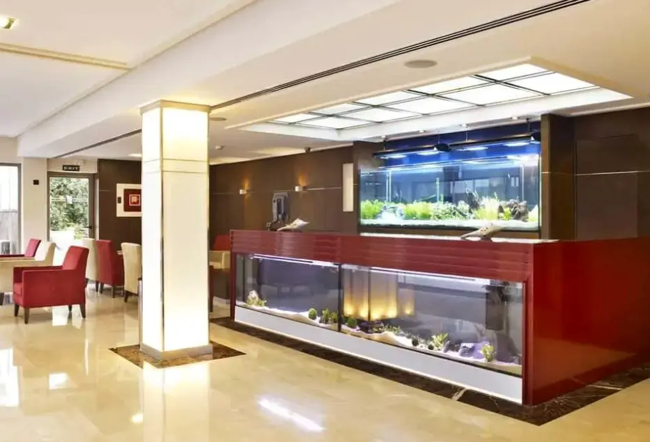 Restauracja i jedzenie w hotelu Mll Mediterranean Bay (El Arenal)