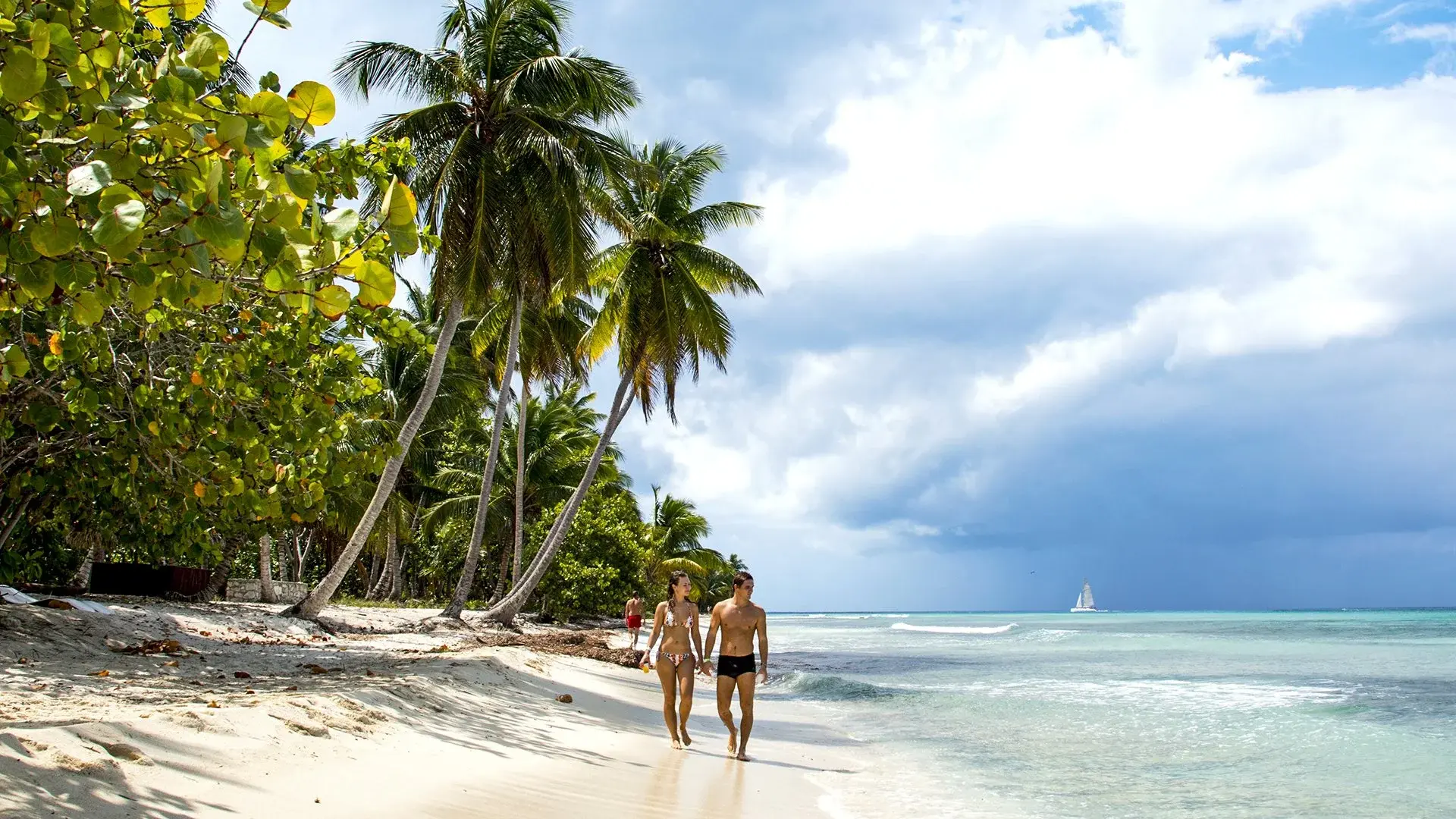 Plaża przy hotelu Rejs Dominikana, Barbados, Martynika, Gwadelupa i Brytyjskie Wyspy Dziewicze z La Romana - Msc Opera