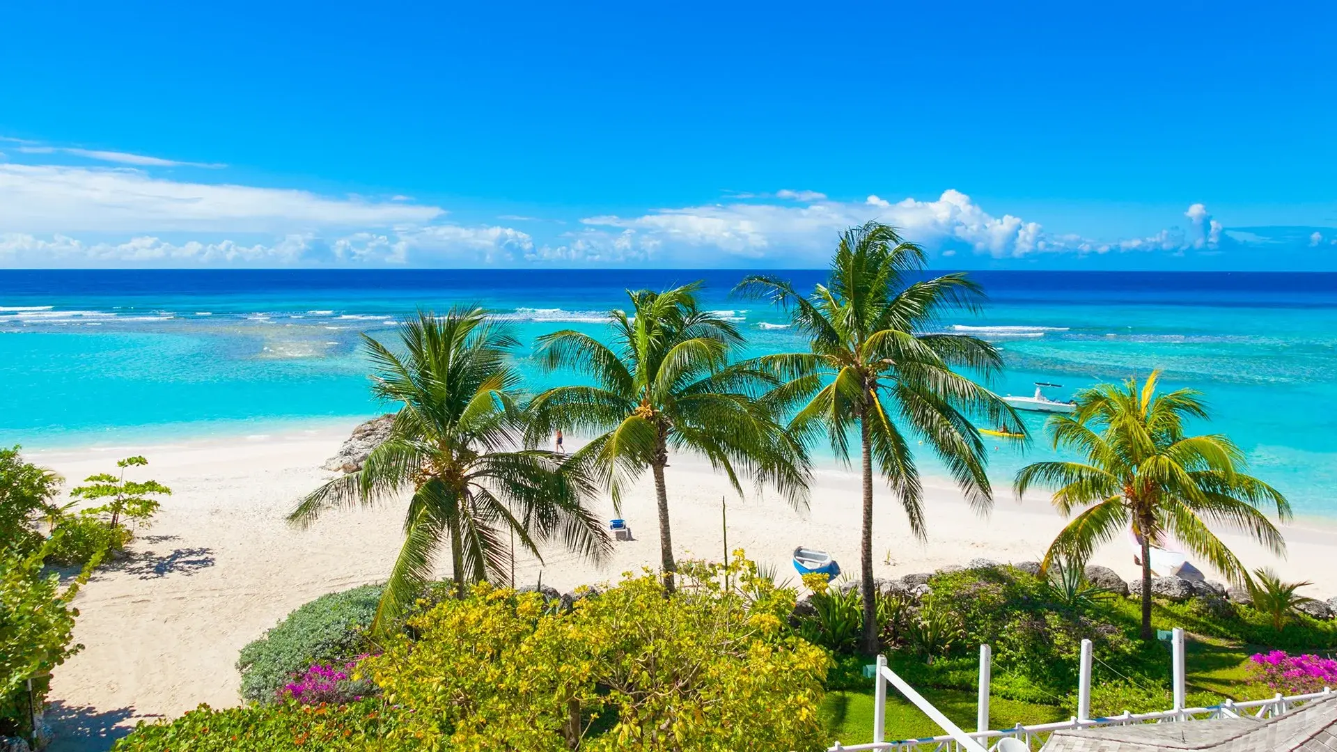 Wycieczka Rejs Dominikana, Barbados, Martynika, Gwadelupa i Brytyjskie Wyspy Dziewicze z La Romana - MSC Opera