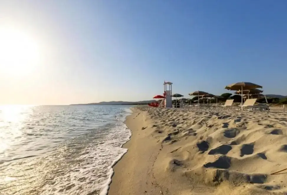 Plaża przy hotelu S Arena Beach Oasis