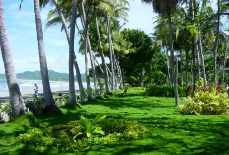Hotel Tamarindo Diria Beach Resort w Kostaryka (Guanacaste) - oferta last minute