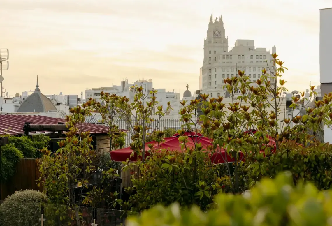 Widok z hotelu The Principal Madrid