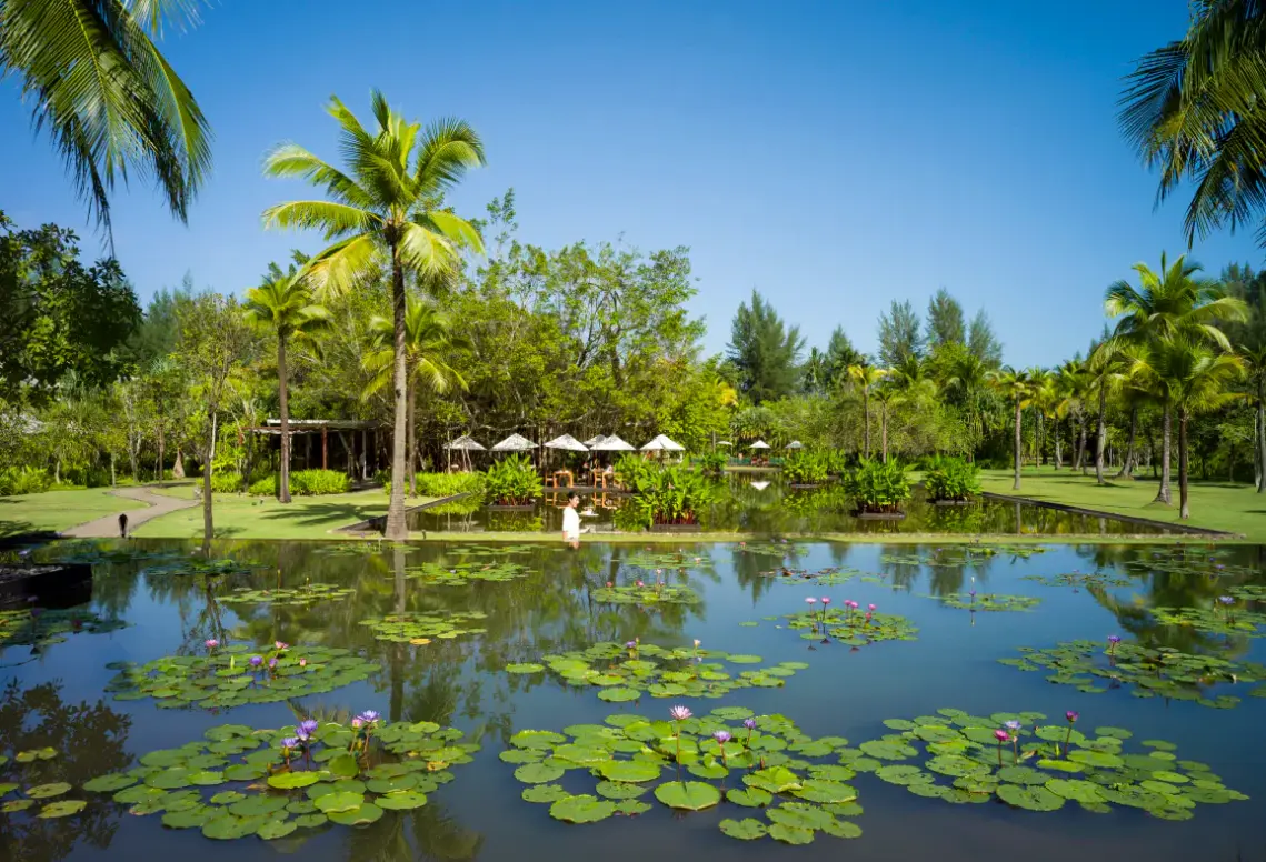 The Sarojin