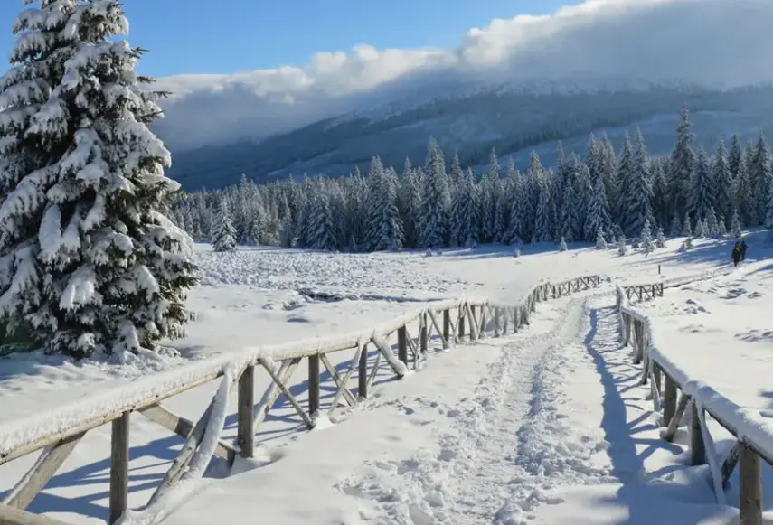 Widok z hotelu Zgoda DW
