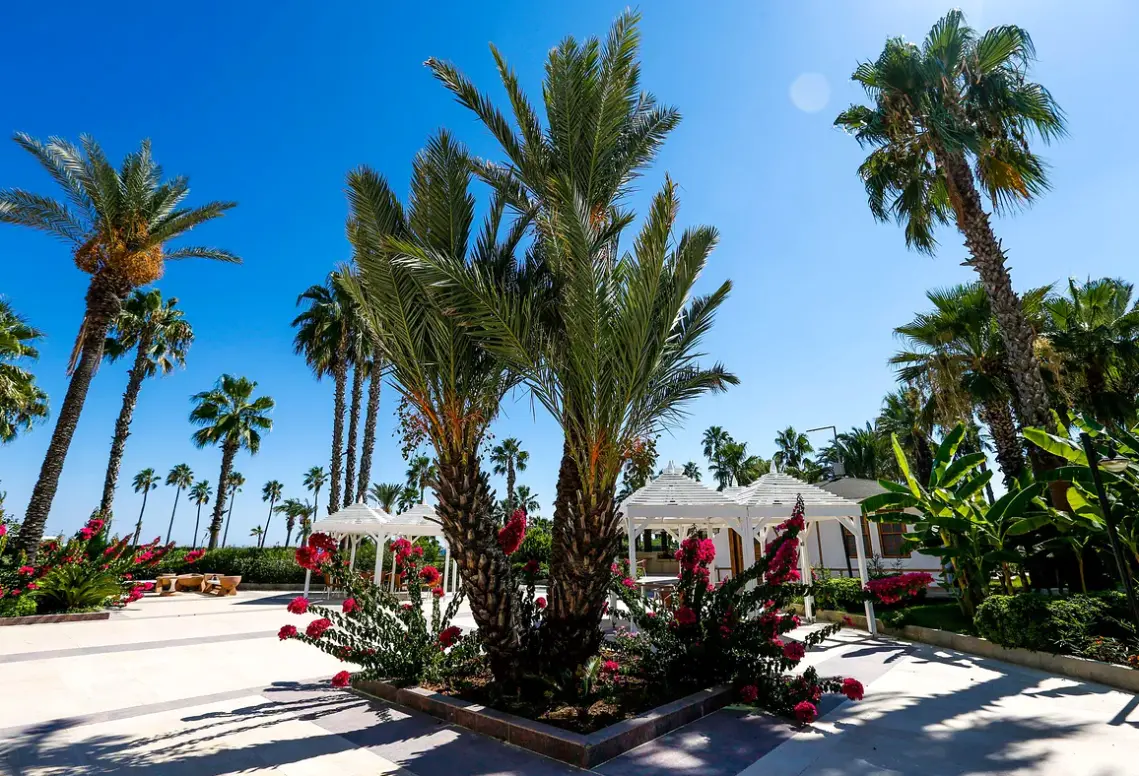 Adora Hotel & Resort (ex. Adora Golf)