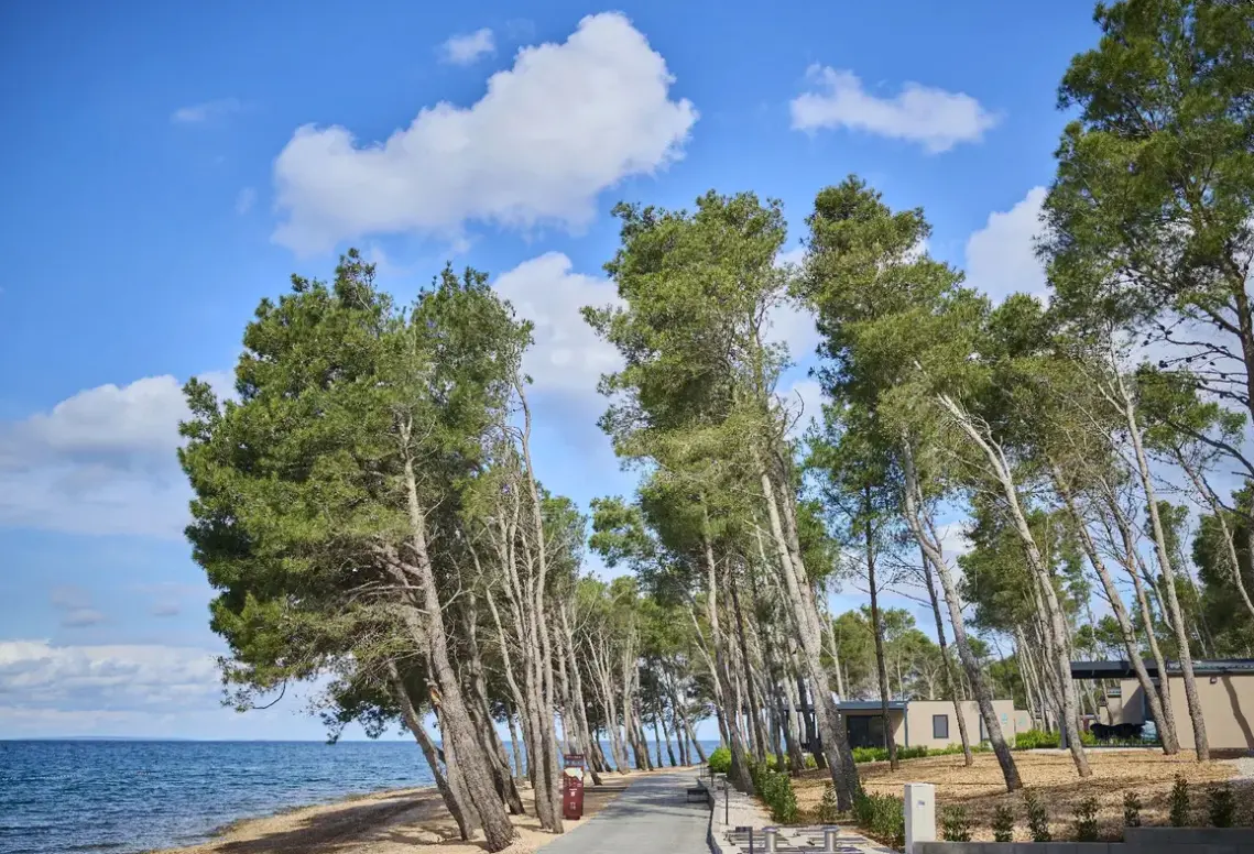 Plaża przy hotelu Aminess Avalona