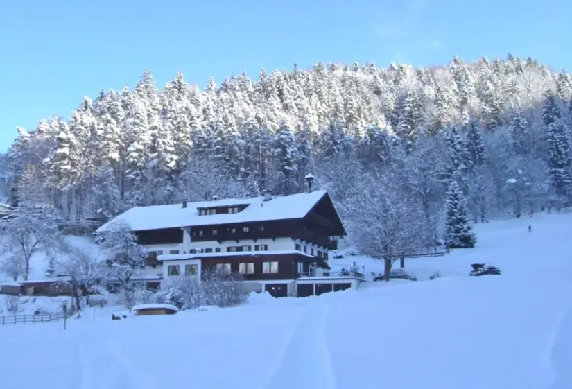 Hotel Berghotel Hinterduxerhof w Austria (Tyrol) - oferta last minute