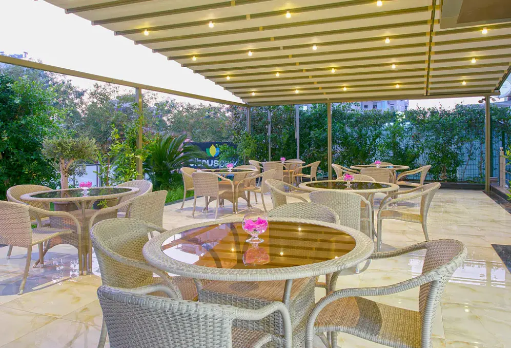 Restauracja i jedzenie w hotelu Citrus Park