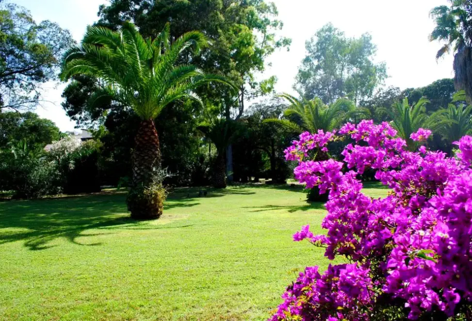 Costa dei Fiori