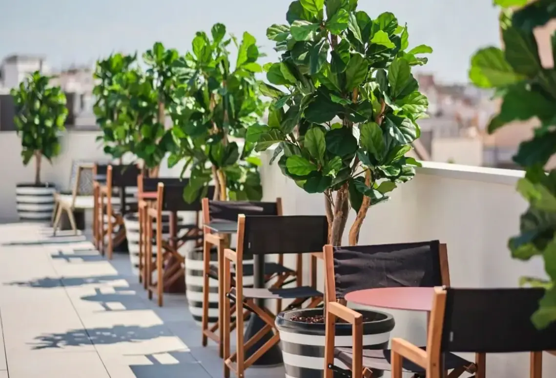 Widok z hotelu Estimar Valencia
