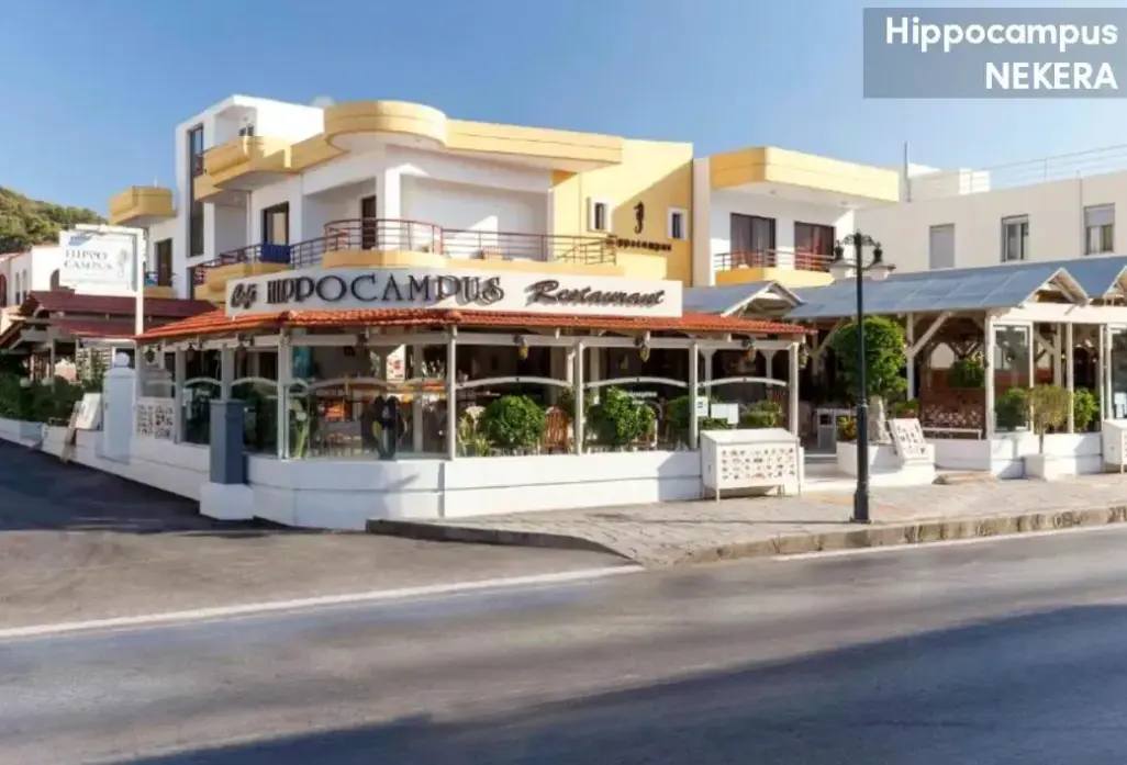 Hotel Hippocampus