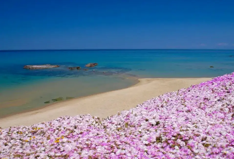 Plaża przy hotelu Hotel Residence Ampurias (Lu Bagnu)