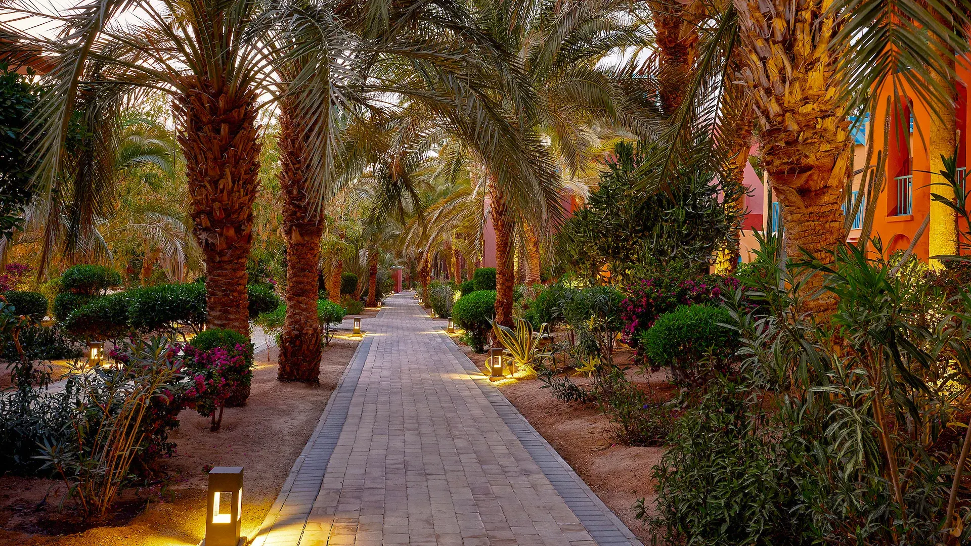 Obiekt hotelu Sheraton Miramar Resort (El Gouna)