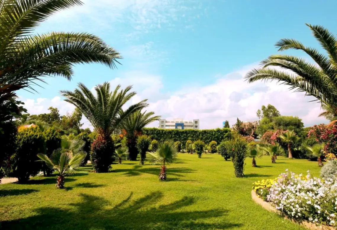 Widok z hotelu Timo Deluxe Resort