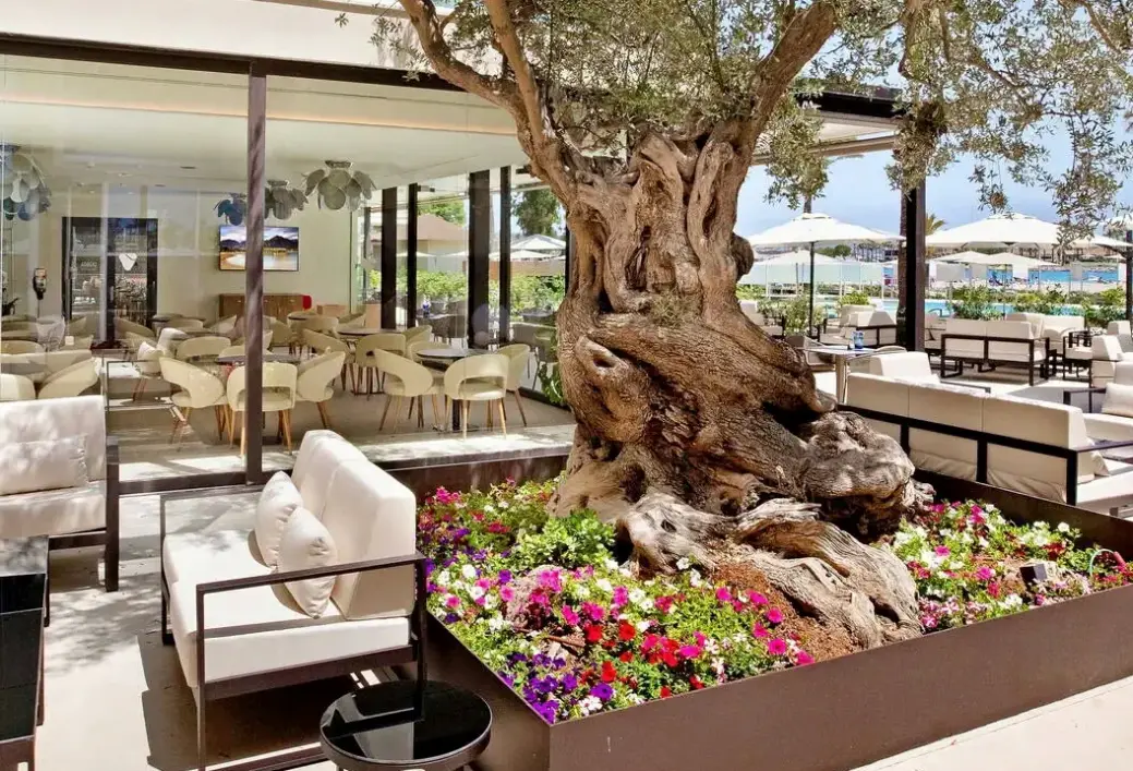 Restauracja i jedzenie w hotelu Viva Golf (ex Vanity Golf)