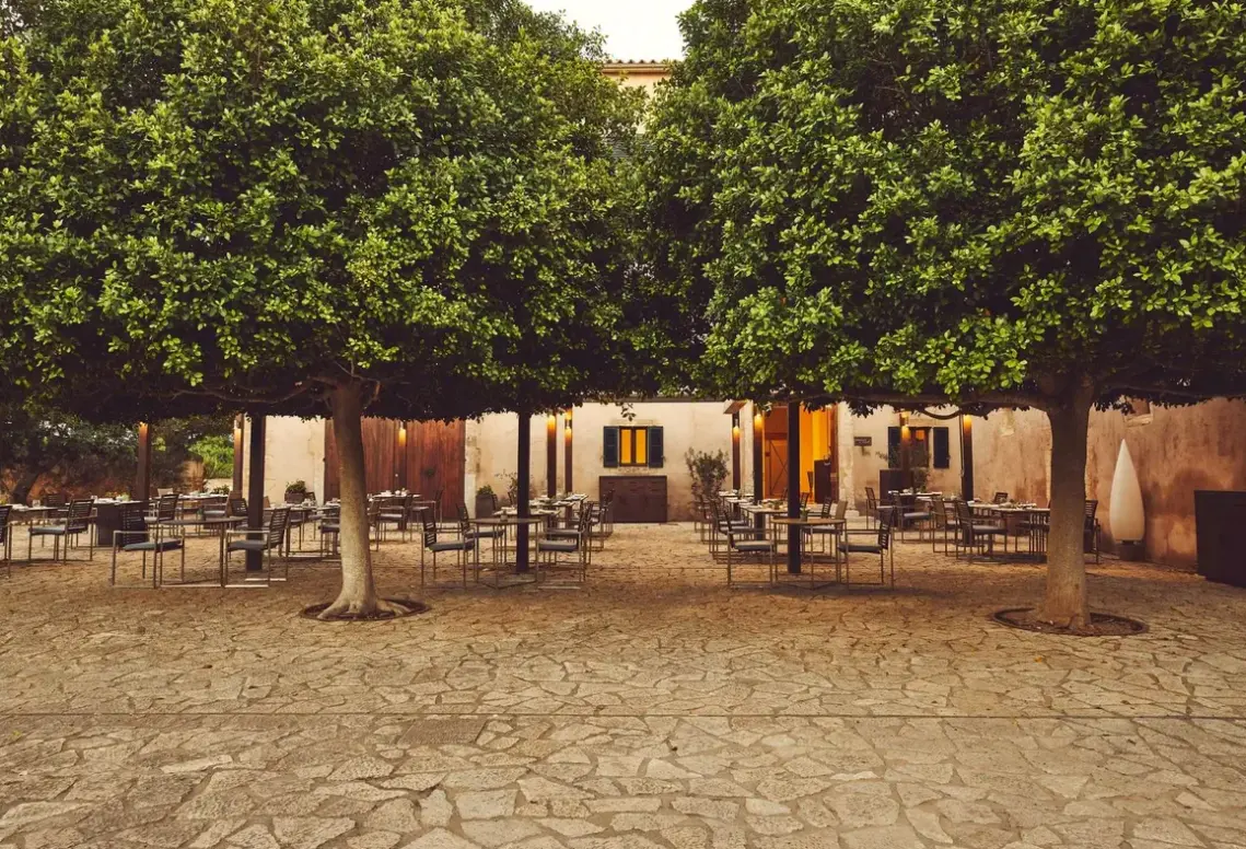 Restauracja i jedzenie w hotelu Zoetry Mallorca (ex. Sa Torre Mallorca)