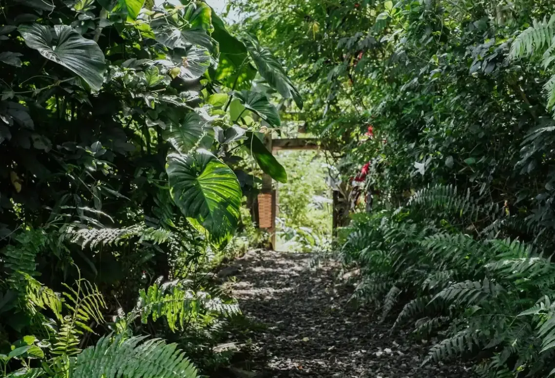 Buahan - a Banyan Tree Escape