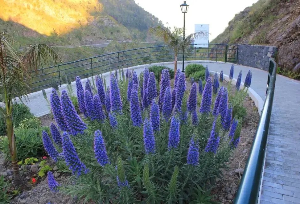 Widok z hotelu Eira do Serrado