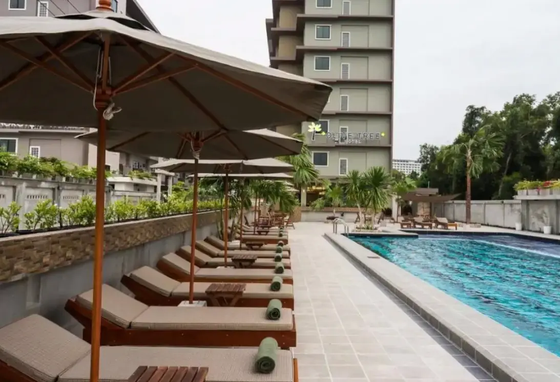 Basen w hotelu Olive Tree