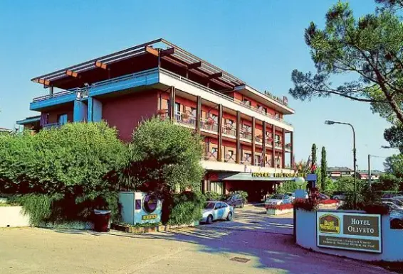 Obiekt hotelu Oliveto