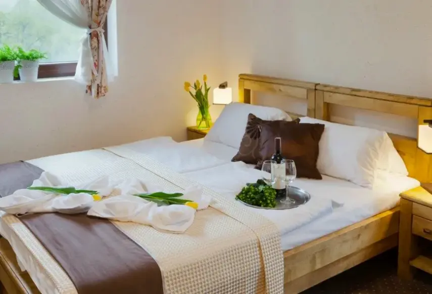 Pokój w hotelu Perła Beskidu
