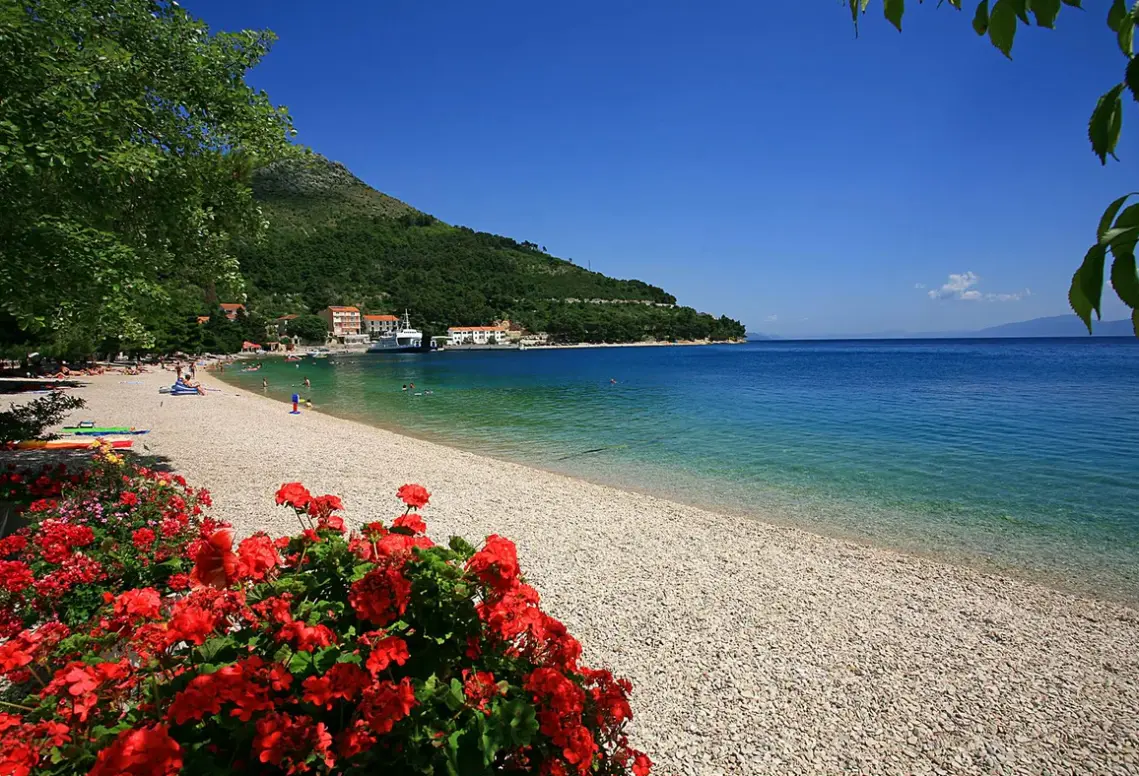 Plaża przy hotelu Quercus (Drvenik)