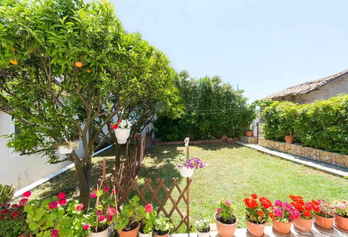 Hotel Roys Blu w Grecja (Korfu) - oferta last minute