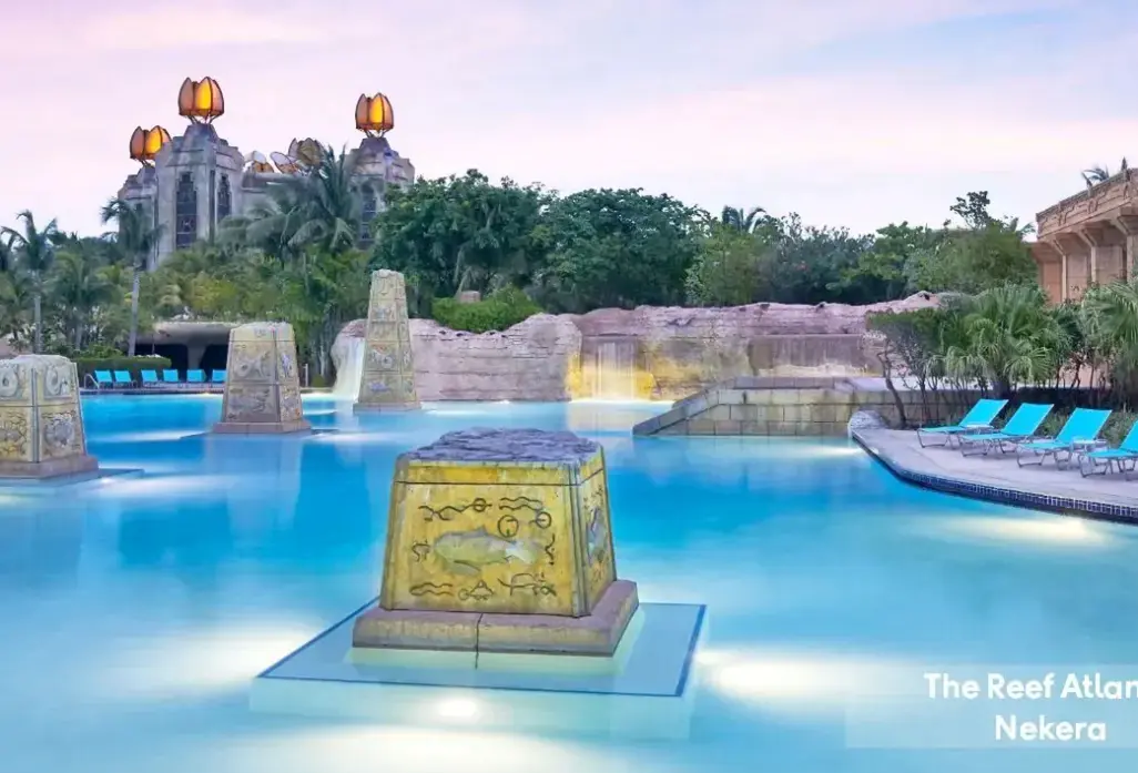 Basen w hotelu The Reef Atlantis