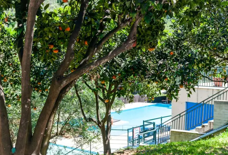 Basen w hotelu Blumarin Apart