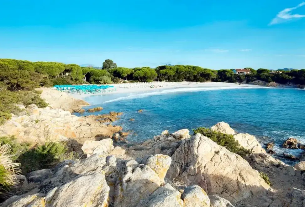 Plaża przy hotelu Cala Viola