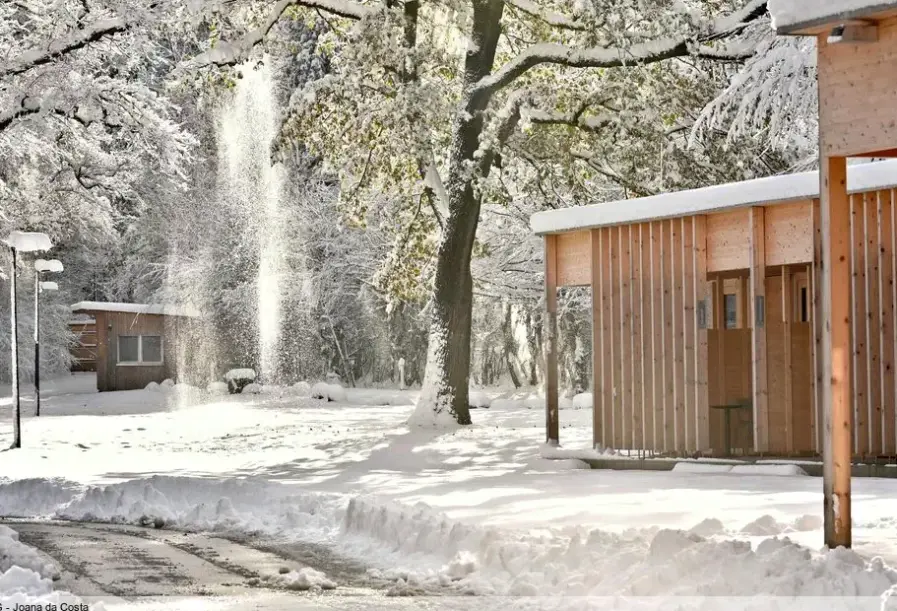 Hotel Camping Dornbirn & Apartments w Austria (Tyrol) - oferta last minute