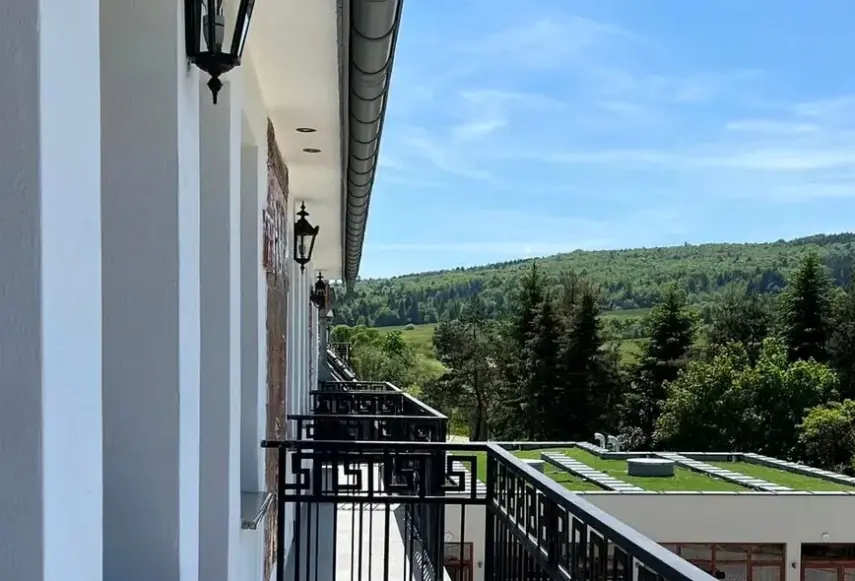 Widok z hotelu Końska Dolina