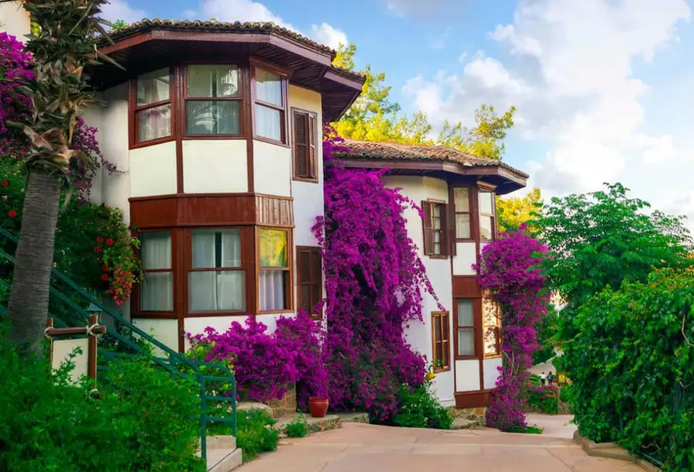 Obiekt hotelu Letoonia Club & Hotel