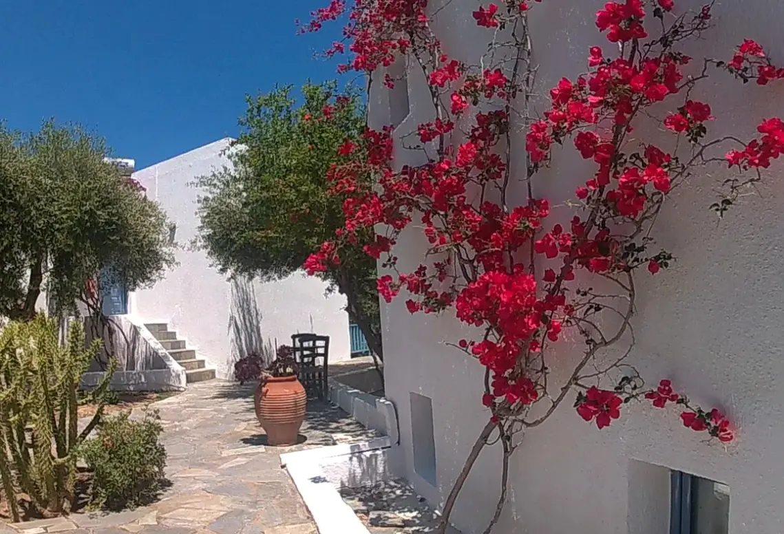 Obiekt hotelu Palatia Village