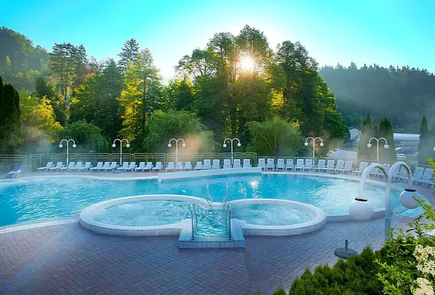 Hotel Terme Topolsica Vesna w Słowenia (Pohorje - Savinjska) - oferta last minute