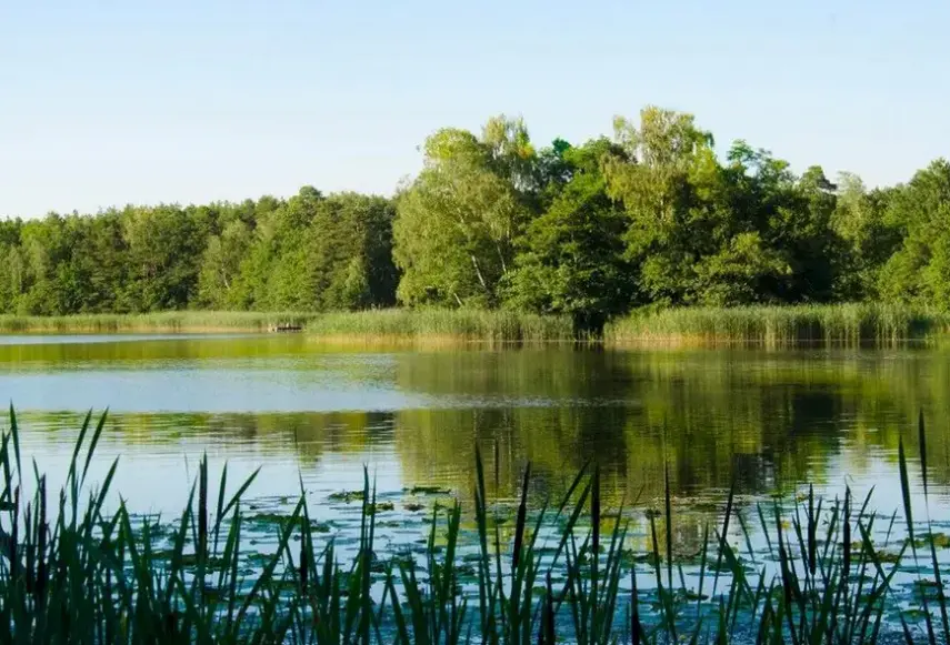 Widok z hotelu Trzy Jeziora