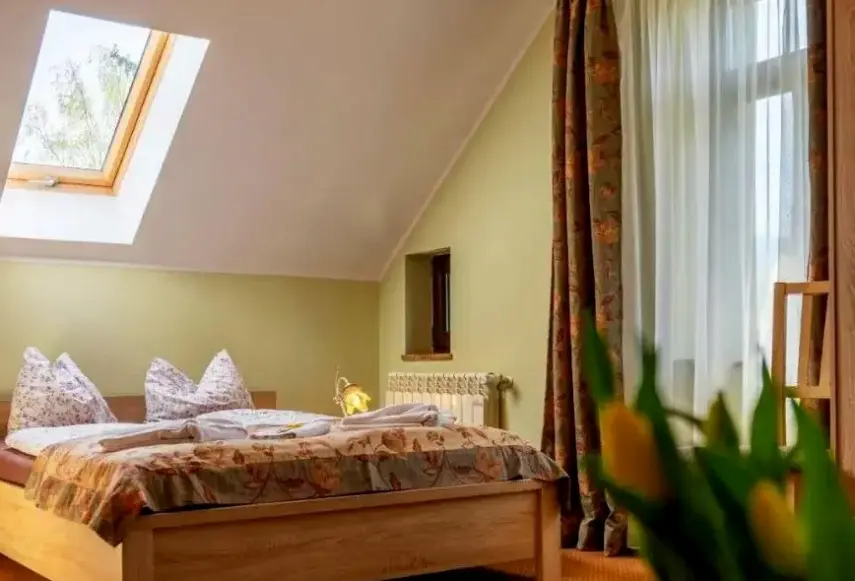 Pokój w hotelu Willa Hanka