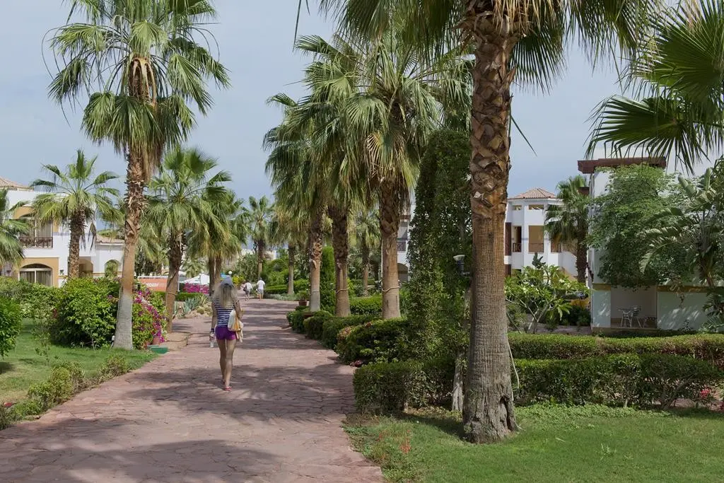 Amphoras Blu Sharm El Sheikh — AMPHORAS BLU RESORT