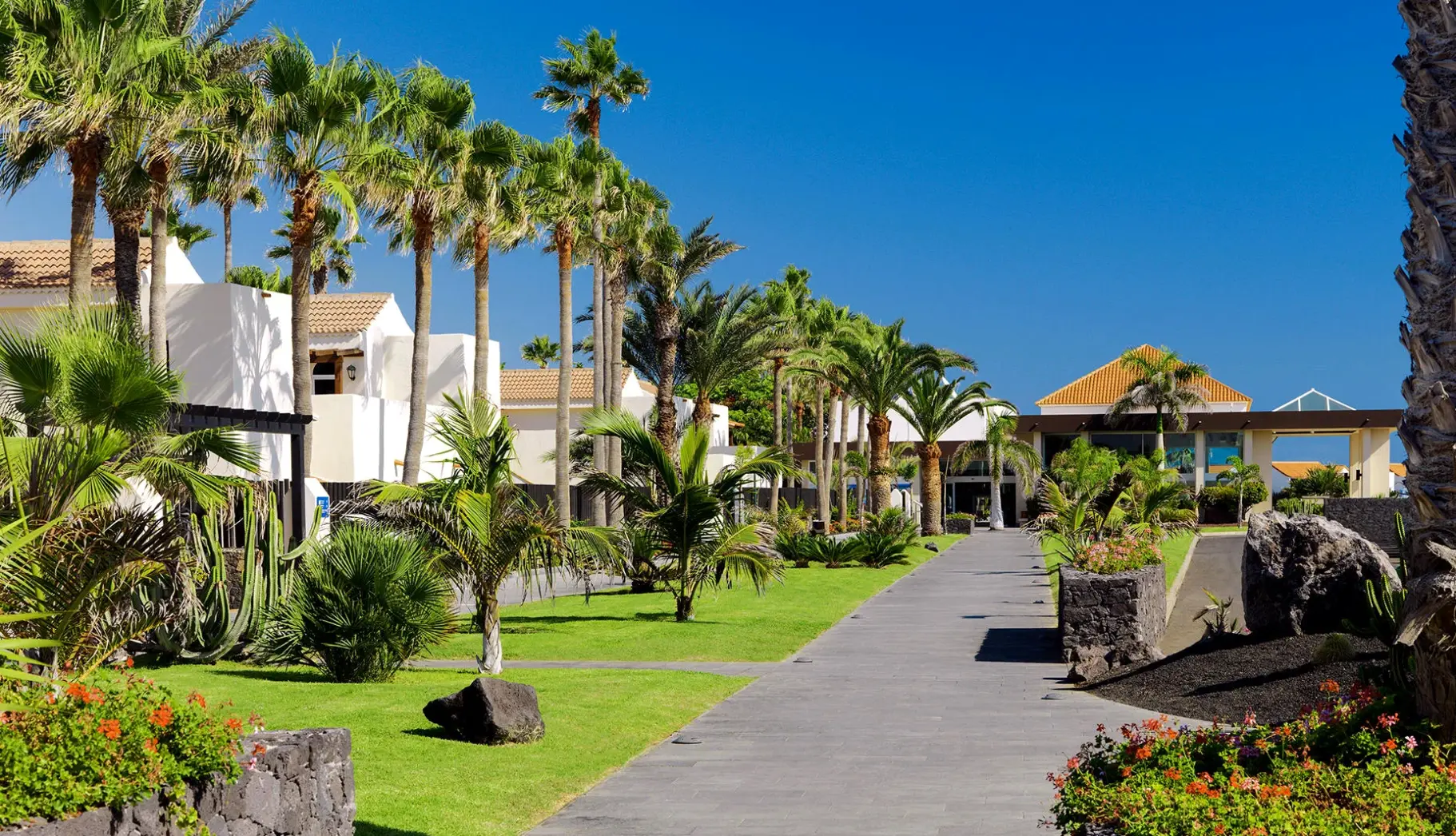 Obiekt hotelu Barceló Fuerteventura Castillo