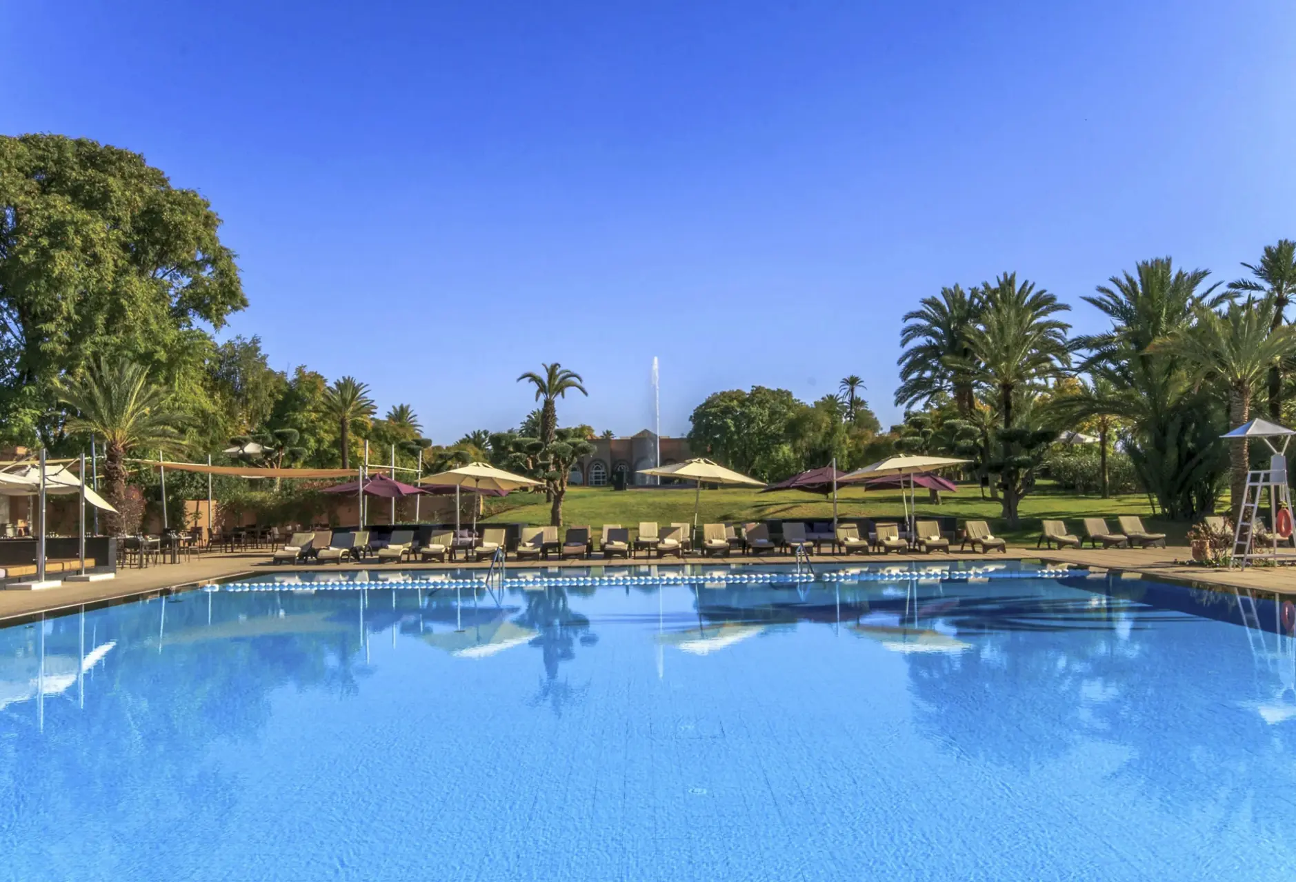 Basen w hotelu Barceló Palmeraie