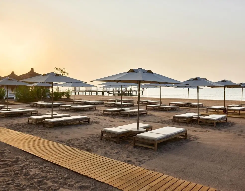 Barut Lara Collection — BARUT LARA COLLECTION