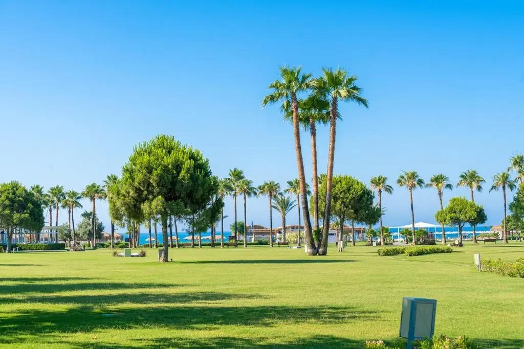 Barut Lara Collection — BARUT LARA COLLECTION