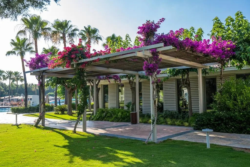 Barut Lara Collection — BARUT LARA COLLECTION