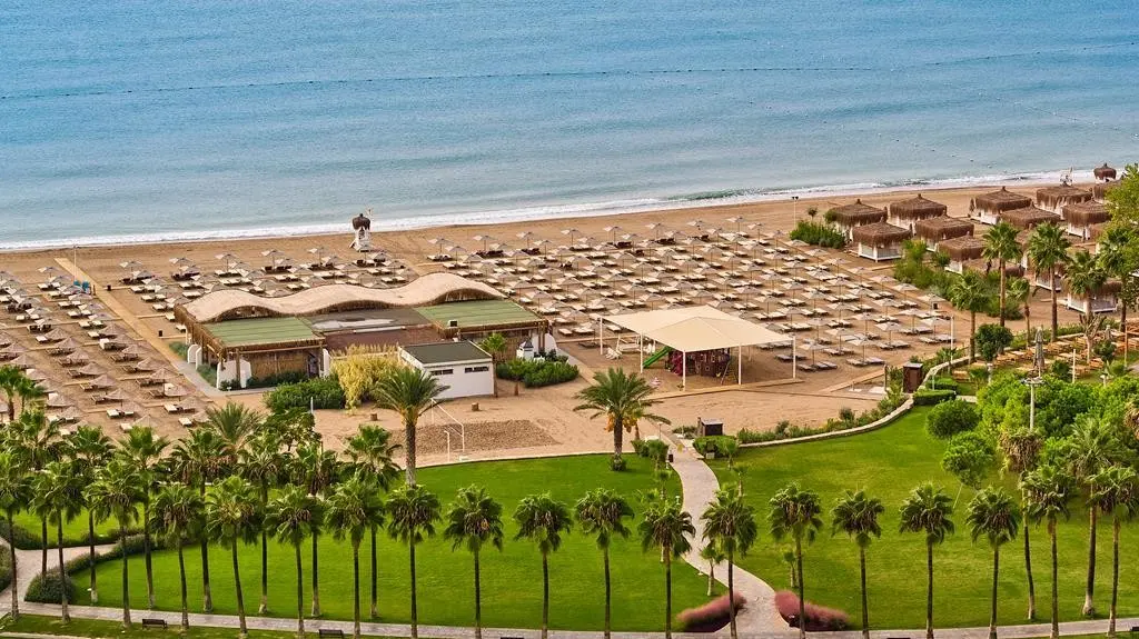 Barut Lara Collection — BARUT LARA COLLECTION