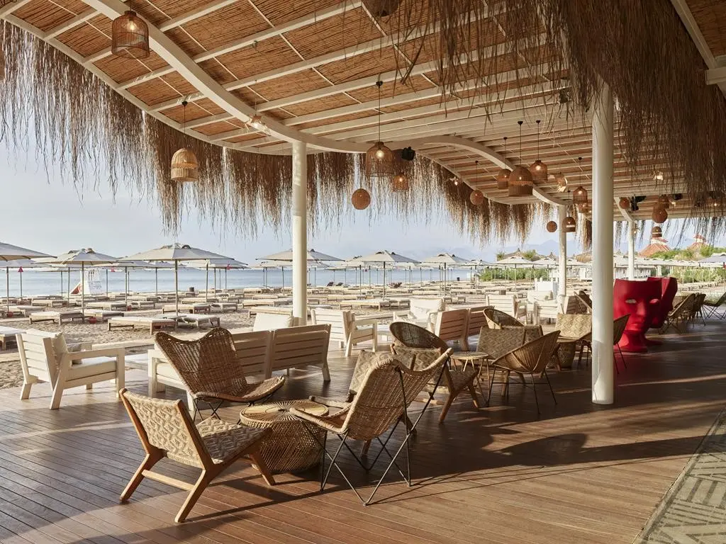 Barut Lara Collection — BARUT LARA COLLECTION